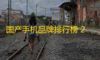 国产手机品牌排行榜 2023年最新国产手机排行榜前十名
